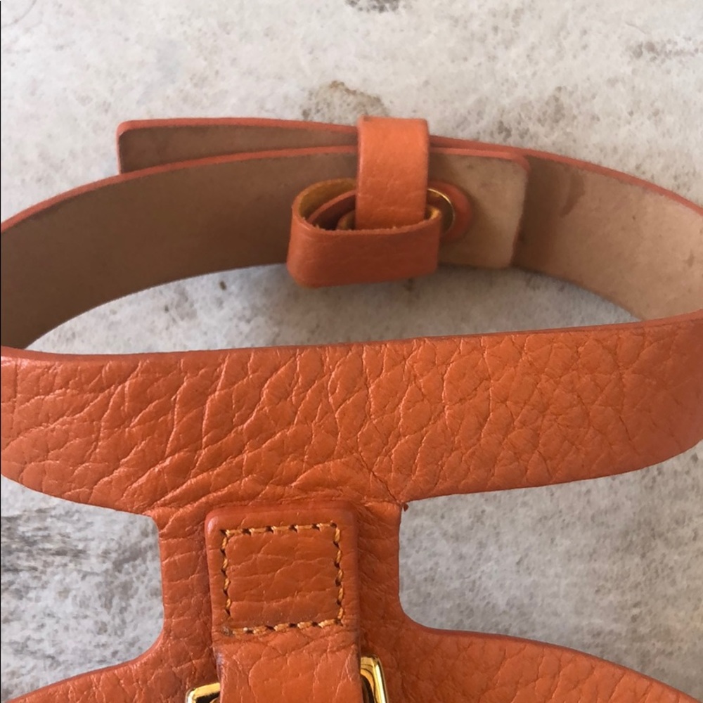 Dog harness - Picture 4 of 6